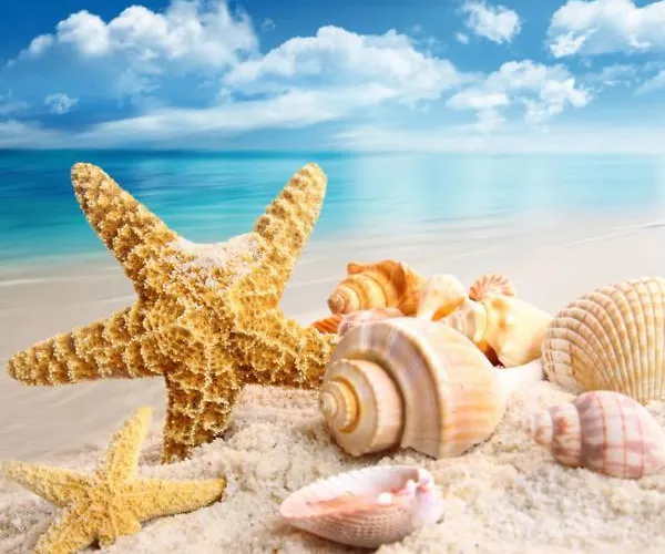 Διαμέρισμα Luxury By The Sea, Mamaia Năvodari